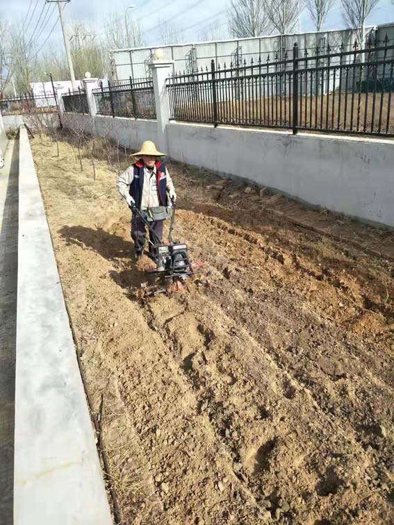 春暖花開耕種忙  大地飛歌氣象新